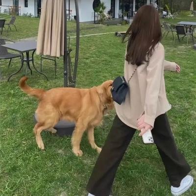 玛古先生的浮力衣